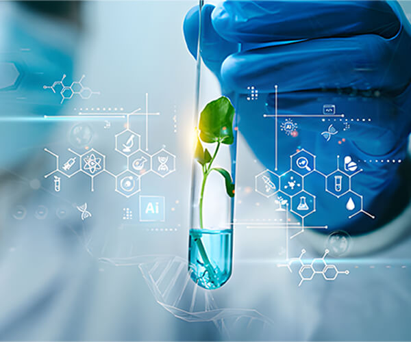 Boxa Chemical Group Ltd