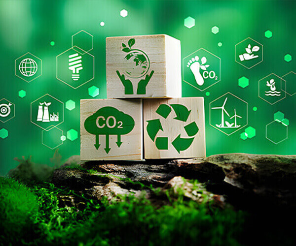 Boxa Chemical Group Ltd