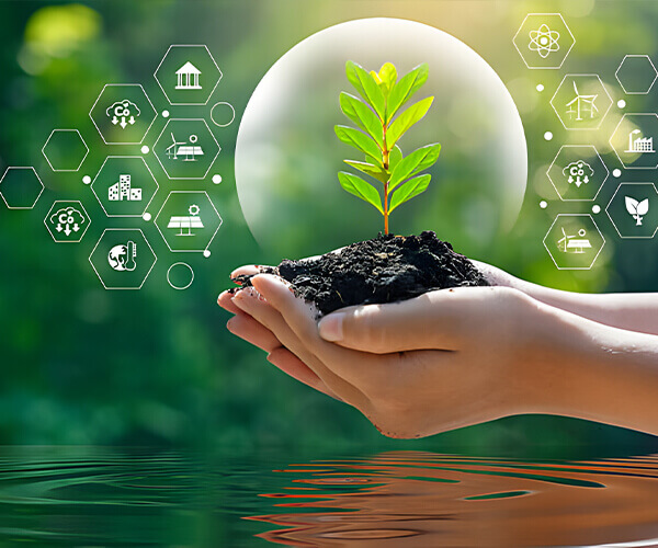 Boxa Chemical Group Ltd