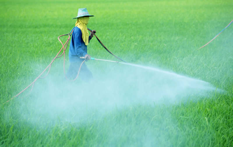 Stabilizer-in-Pesticides